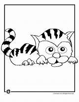 Tiger Coloring Cute Printer Send Button Special Print Only Use Click sketch template