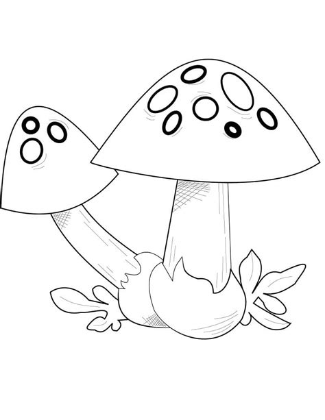 mushroom coloring pages  printable coloring pages  kids