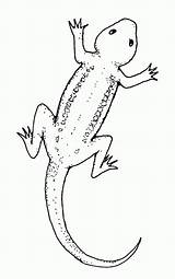 Lizard 2119 Wikiclipart sketch template