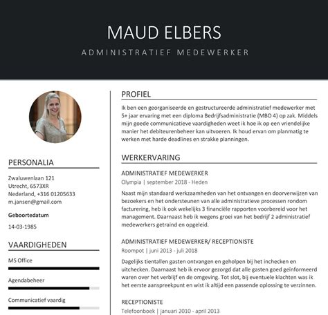 professionele cv voorbeeld