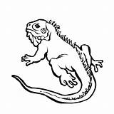 Iguana Iguane Galapagos Craft Colouring Crawl Colorier Designlooter Coloriages sketch template
