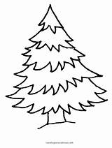 Pinos Arboles árboles Navidad sketch template
