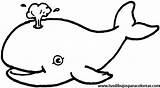 Colorear Ballenas Baleia Wieloryb Whale Balena Desenho Dzieci Ballena Kolorowanka Infantiles Mamydzieci Wydruku Mamifero Baleine sketch template