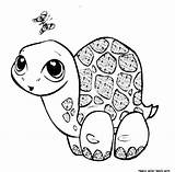 Turtle Coloring Pages Baby Cute Cartoon Sea Drawing Printable Moana Turtles Getcolorings Color Print Getdrawings sketch template