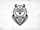 Owl Celtic Logo Dribbble Concept sketch template