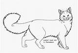 Cat Long Haired Drawing Domestic Transparent Kindpng sketch template