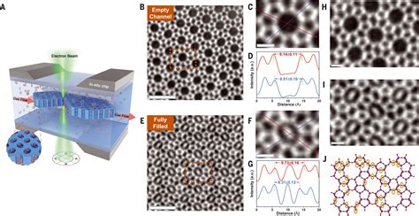 imaging   sorption induced subcell topological flexibility