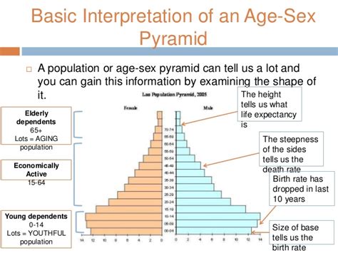 Interpreting Population Pyramids