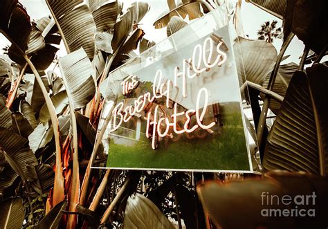 Beverly Hills Hotel Neon Sign Photograph By Em Dee Fine Art America