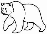 Bear Drawing Easy Clipart Library sketch template
