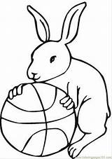 Basketball Coloring Pages Printable Mario Hare Holds Hares Jersey Clipart Template Cliparts Shooting Popular Coloringhome Library Comments Categories sketch template