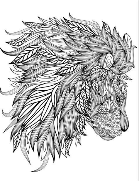 realistic lion coloring pages  adults canvas point