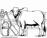 Livestock Ffa Steer sketch template
