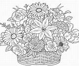 Coloring Pages Adults Adult Flowers Flower Printable Spring Cute Basket Bouquet Print Sheets Online Books Colouring Baskets Advanced Color Book sketch template