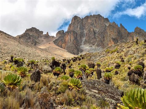 trek mount kenya unesco reserve stunning landscape  days