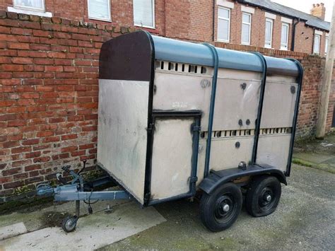 small cattle trailer  sale  seaham county durham gumtree