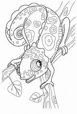 Ausmalbilder Erwachsene Malvorlagen Malvorlage Ausdrucken Camaleonte Chamäleon Chameleon Chamaeleon sketch template