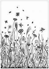 Coloring Pages Insects Adult Field Adults Flowers Vegetation Floral Fleurs Wild Cute Color Flower Sheets Colouring Et Composed Herbs Various sketch template