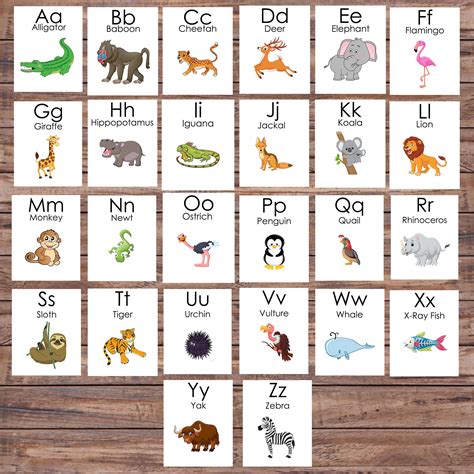 jungle animal alphabet flash cards zoo animals learning toys etsy