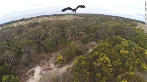 eagle destroy  drone aug