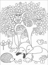 Colorir Florestas Matas Bosques Corujas sketch template