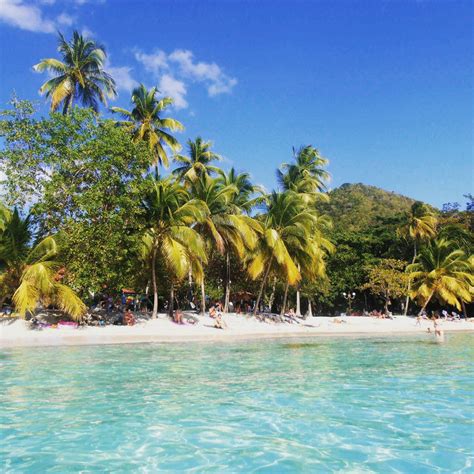 la plage de lanse figuier  petit paradis martinique island popular honeymoon destinations