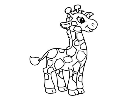 baby giraffe coloring page  printable coloring pages  kids