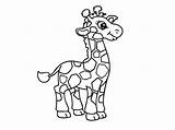 Giraffe Baby Coloring Printable Pages Small Kids Description sketch template