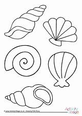 Colouring Shell Sea Shells Coloring Pages Beach Summer Printable Template Kids Seaside Seashell Colour Drawing Mar Mermaid Crafts Activityvillage Fun sketch template