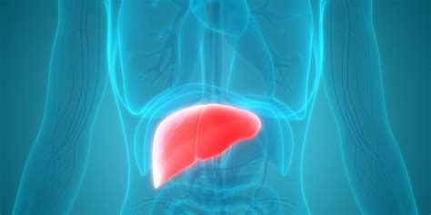 Hepatitis Liver Inflammation Types Causes And Symptoms