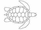 Tortugas Tartaruga Imprimir Turtles Aboriginal Colorir Imágenes Gratistodo sketch template