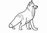 Fox Arctic Coloring Pages sketch template