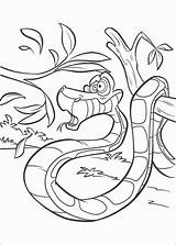 Jungle Coloring Book Pages Snake Kaa Kids sketch template