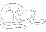 Cat Drinking Milk Coloring Drawing sketch template