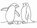Animals Coloring Arctic Pages Tundra Penguin Printable Couple Drawing Kids Getdrawings Polar Bear Preschoolers Color sketch template