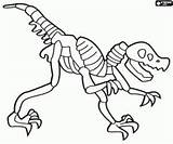 Esqueleto Dinosaurio Dinosaurios Huesos Dinossauro Skelet Colorir Dinosaurus Imprimir Fosil Dinossauros Fosiles Hueso Dinosaures Dinosaurier Dinosaure Kleurplaat Skelett Esquelet Kleurplaten sketch template
