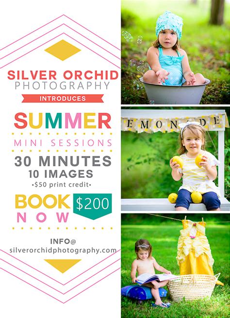 summer themed mini sessions july  august