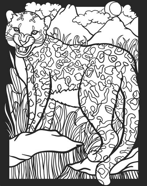 childhood education nocturnal animals coloring pages  colouring