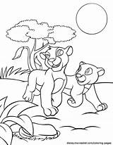 Lion Coloring King Pages Simba Nala Disney Printable Printables Kids Getcolorings Color Sheets Getdrawings Comments Print Sparad Från Disneymovieslist Hanging sketch template