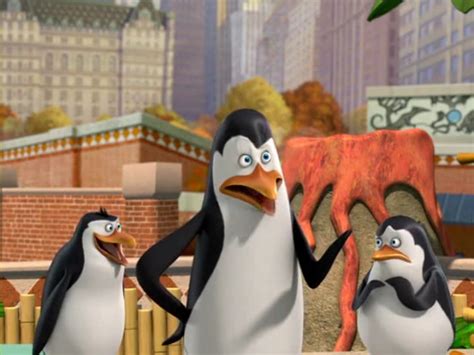 Rico And Private Penguins Of Madagascar Photo
