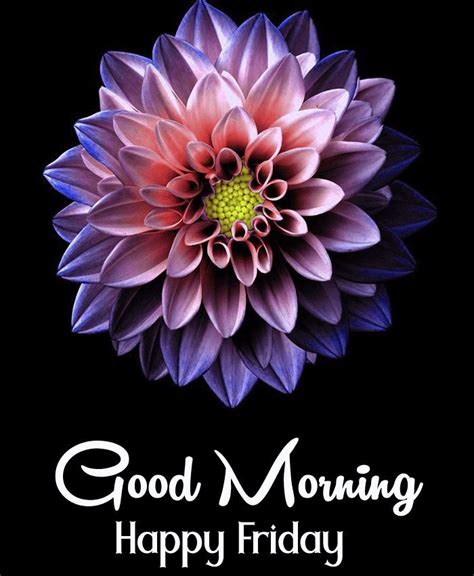 happy friday good morning wishes  flowers good morning happy friday friday images good