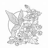 Colibri Hummingbird Kolibrie Kleurend Pura Vida Floral Adultes Pour Running Anterior Costa Colibrí sketch template