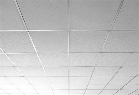 asbestos  ceiling tiles home design ideas