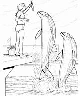 Dolphin Dauphin Animaux Coloriage Everfreecoloring Coloriages sketch template