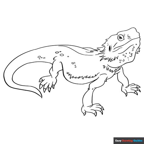 bearded dragon easy drawing guides