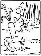 Earthworm Coloring Getcolorings Pages sketch template