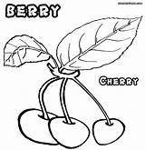 Coloring Berry Designlooter 37kb 1000px Cherry sketch template