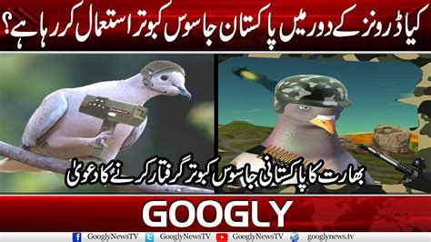 pakistan  spy pigeons   age  spy drones googly news tv youtube