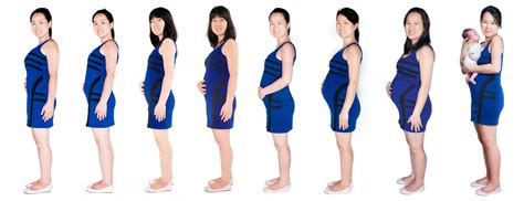 Nine Month Pregnancy Evolution Photographer ‹ Photographer Anaïs Chaine