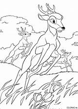 Bambi Coloring Pages Deer Faon Dessin Colorier Coloriage Baby Biche Book Cute Disney Printable Color Kids Getcolorings Bambi2 Imprimer Dessins sketch template